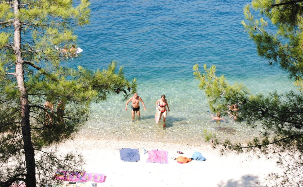 Summer Residence Near The Sea Donji Okrug  Luaran gambar